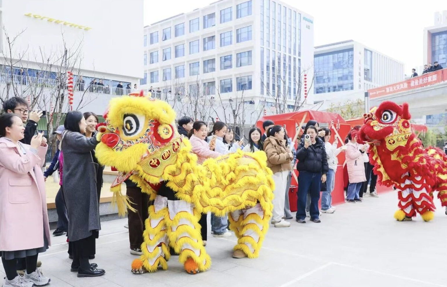 /ueditor/image/20260304/1772588373096702/731f3cd62a4141c3945bf7ea1a2aadeb.png /ueditor/image/20260304/1772588373096702/731f3cd62a4141c3945bf7ea1a2aadeb.png